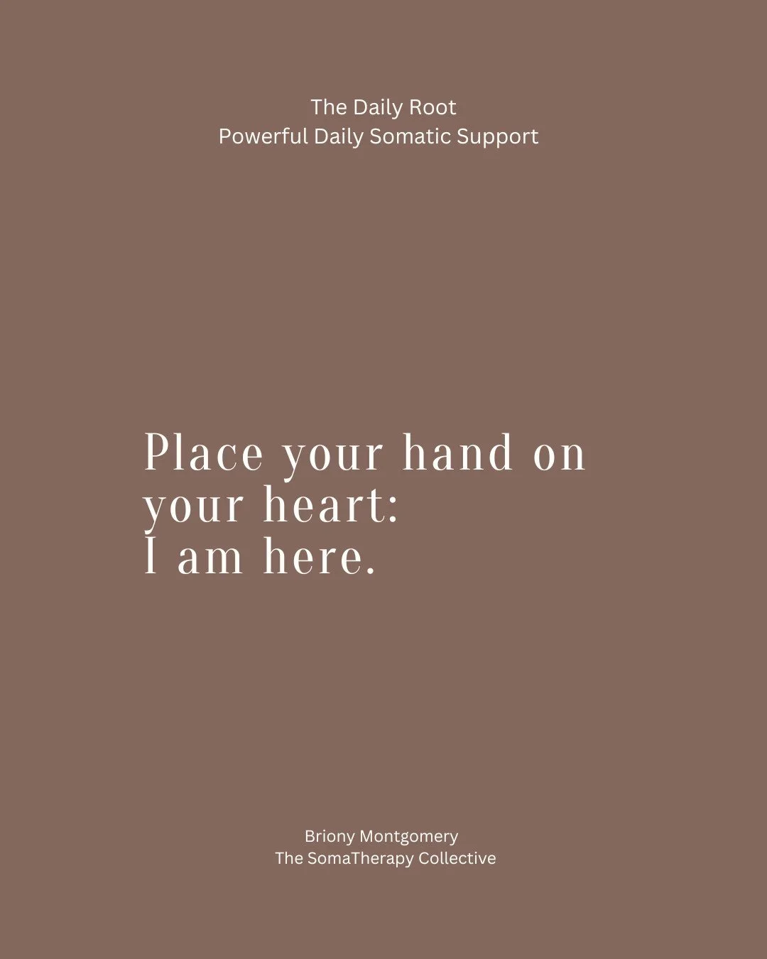 You don&rsquo;t need more information.
You need integration.
A daily anchor.
A place your nervous system can return to.

The Daily Root - grounded, real, free.
Subscribe now. Link In BIO
 #somatictherapy #nervoussystemsupport #healing #embodiement #r