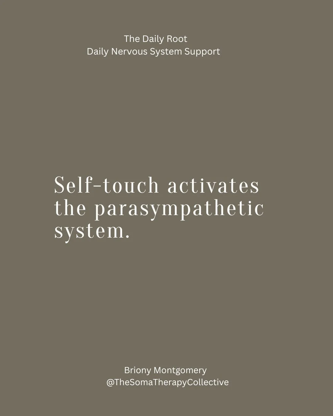 Your nervous system is shaping your entire life.
Your relationships.
Your capacity.
Your energy.
Your decisions.
And yet&hellip; no one taught you how to work with it.

The Daily Root is where that begins.
Free daily support. Sign up.
Link in BIO
 #s