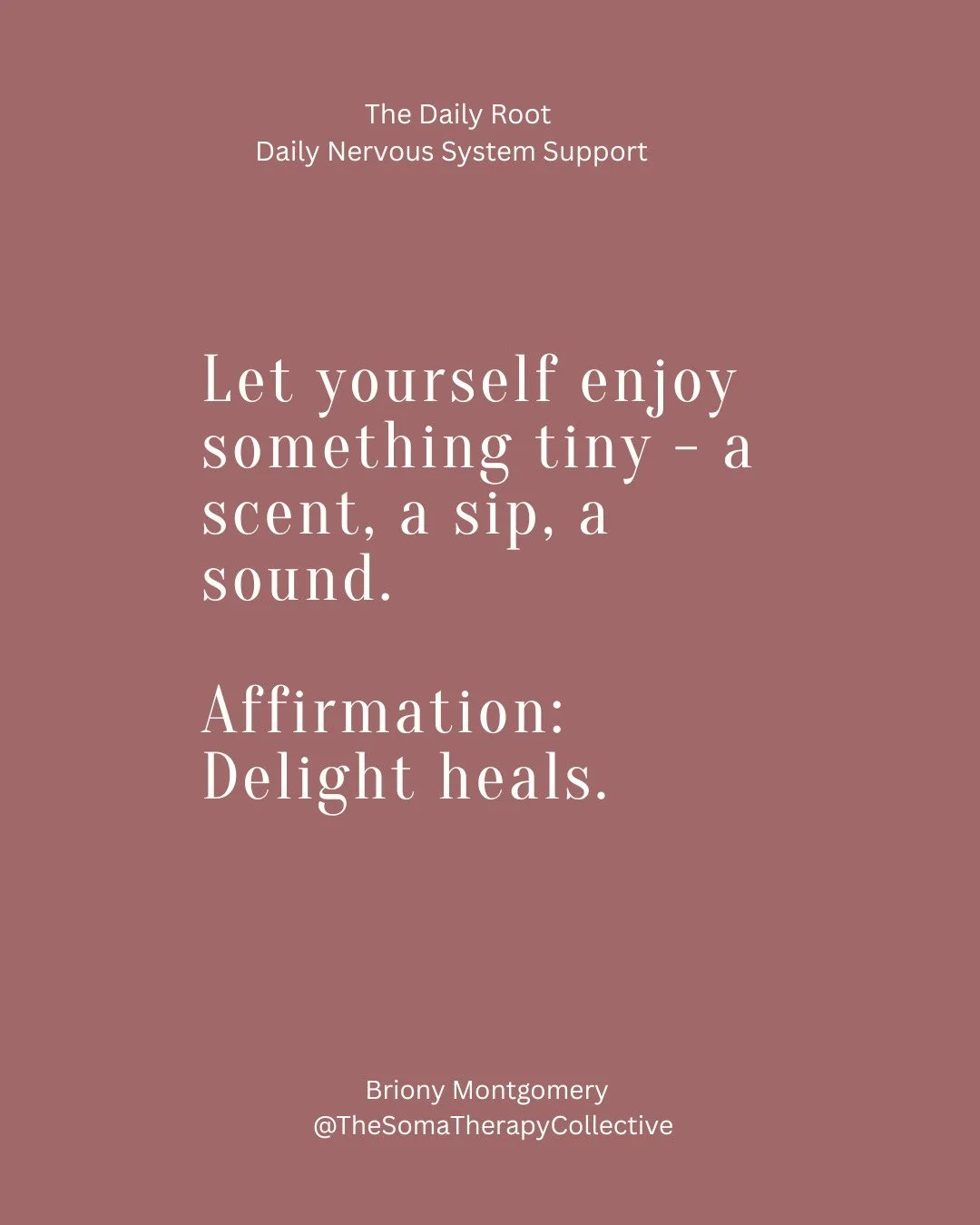 Your nervous system is shaping your entire life.
Your relationships.
Your capacity.
Your energy.
Your decisions.
And yet&hellip; no one taught you how to work with it.

The Daily Root is where that begins.
Free daily support. Sign up.
Link in BIO
 #s