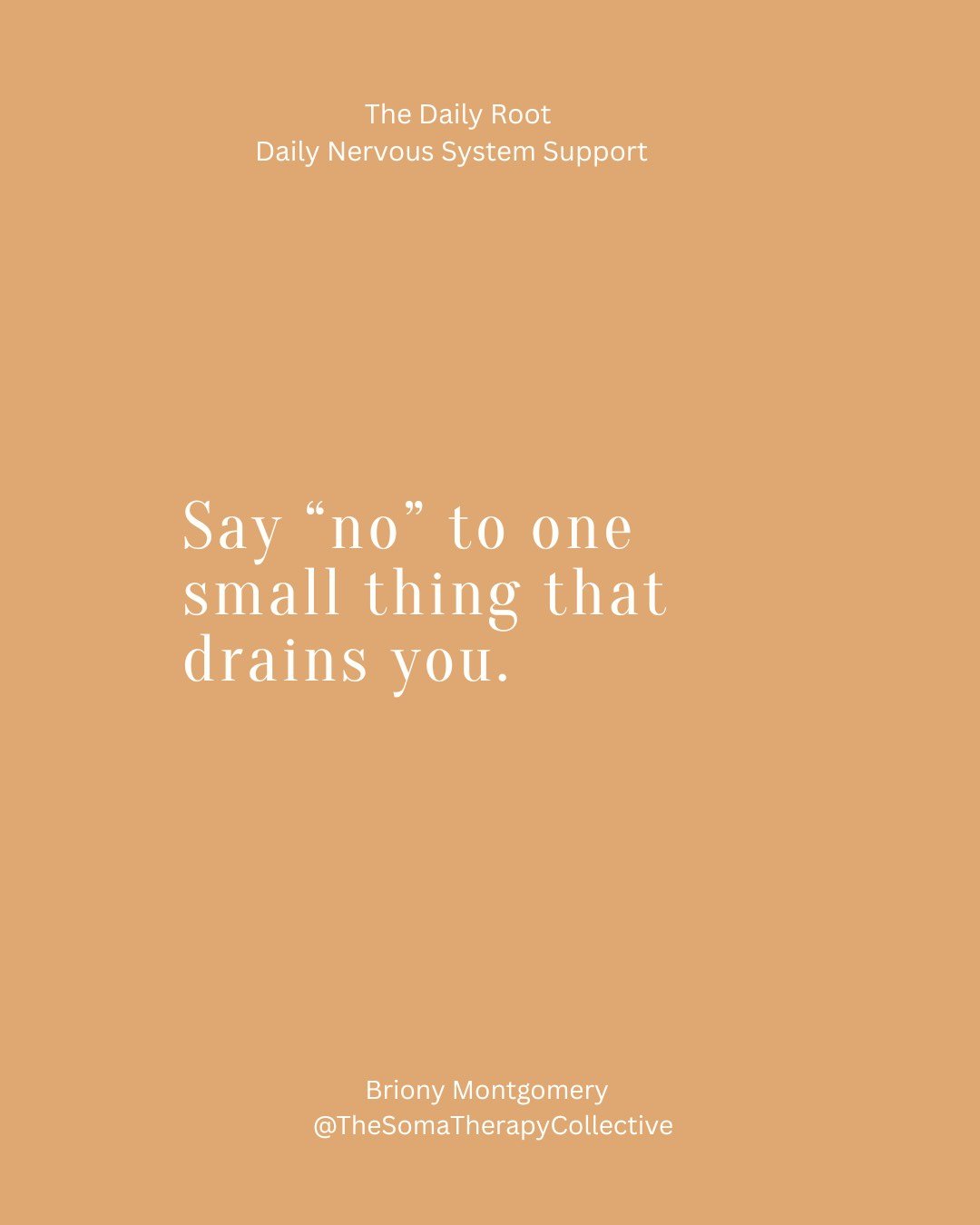 You don&rsquo;t need to wait until burnout
to start supporting yourself.
You can begin today.
One email.
One practice.
One shift at a time.

The Daily Root -  free, daily, powerful.
Sign up now.
Link in BIO
 #somatictherapy #nervoussystemsupport #hea