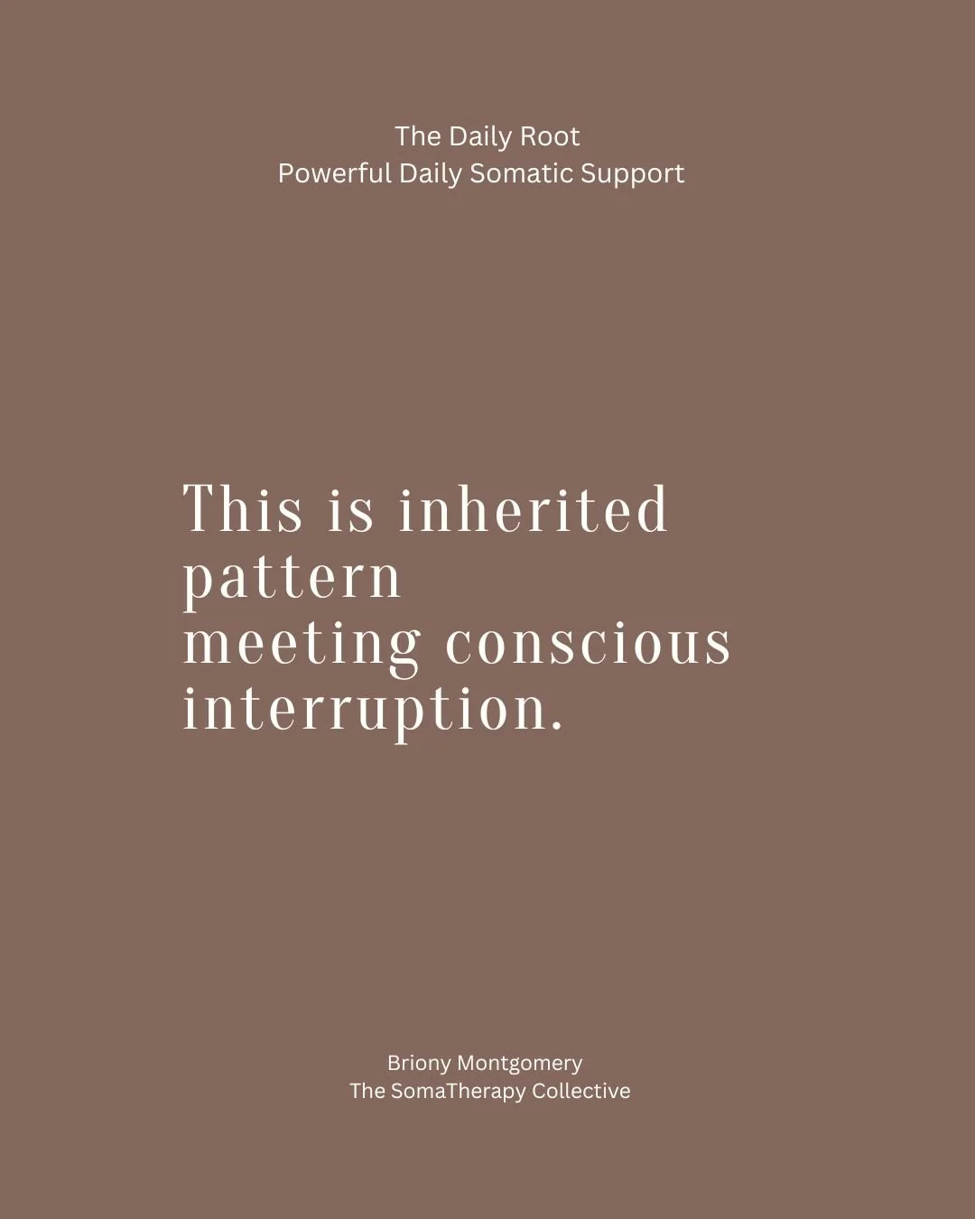 You're not broken. You're just disconnected.

And that disconnection? It's not your fault. It's what happens when we spend years surviving instead of living, when we learn to leave our bodies because staying felt too unsafe.

The Daily Root is a gent