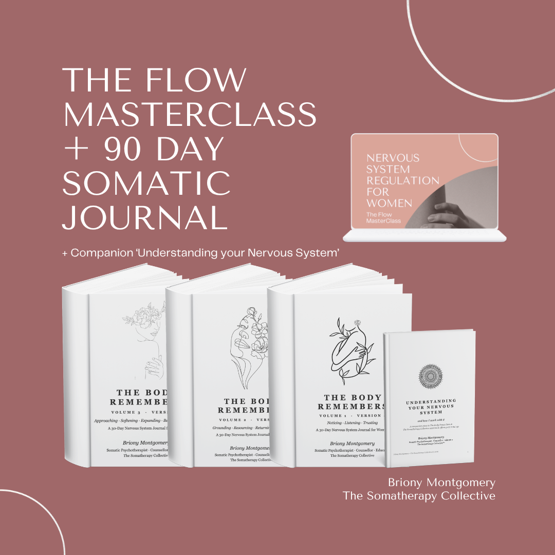 The Nervous System in Flow, the Complete Masterclass and Journal