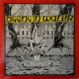 V/A - Digging in Water LP