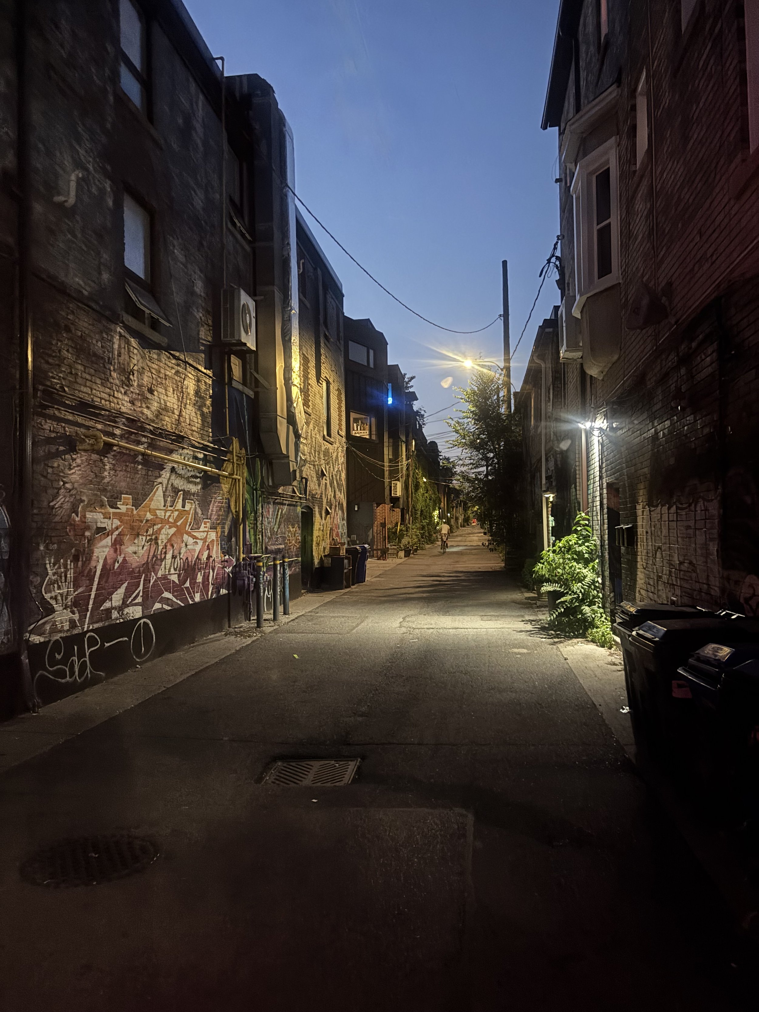 backalley.jpeg