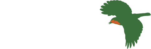 Cedar Path Construction