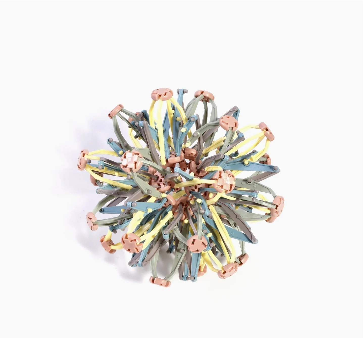 Image 1-21-26 at 3.21 PM.jpeg