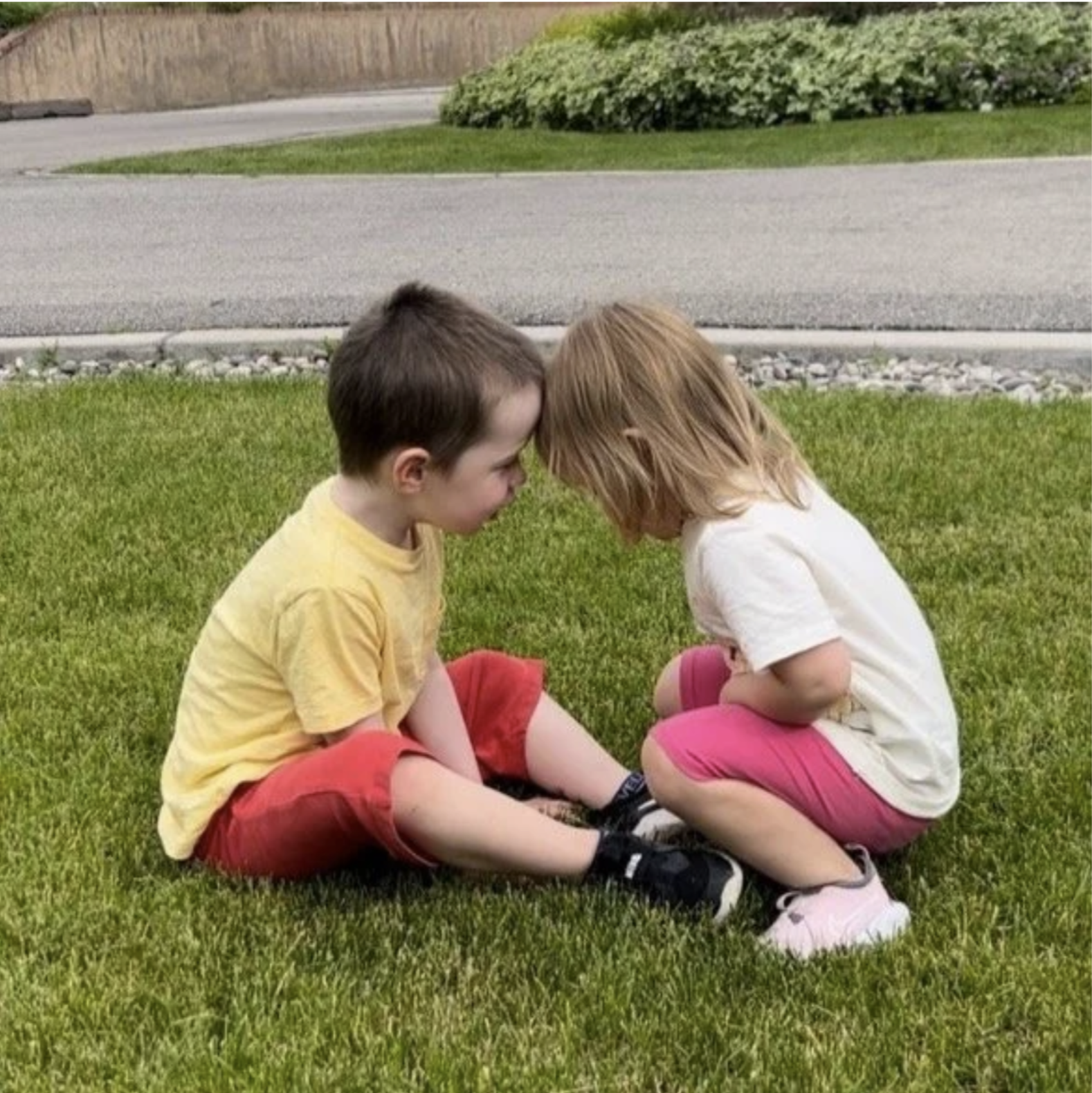 Screenshot 2026-03-08 at 2.53.27 PM.png