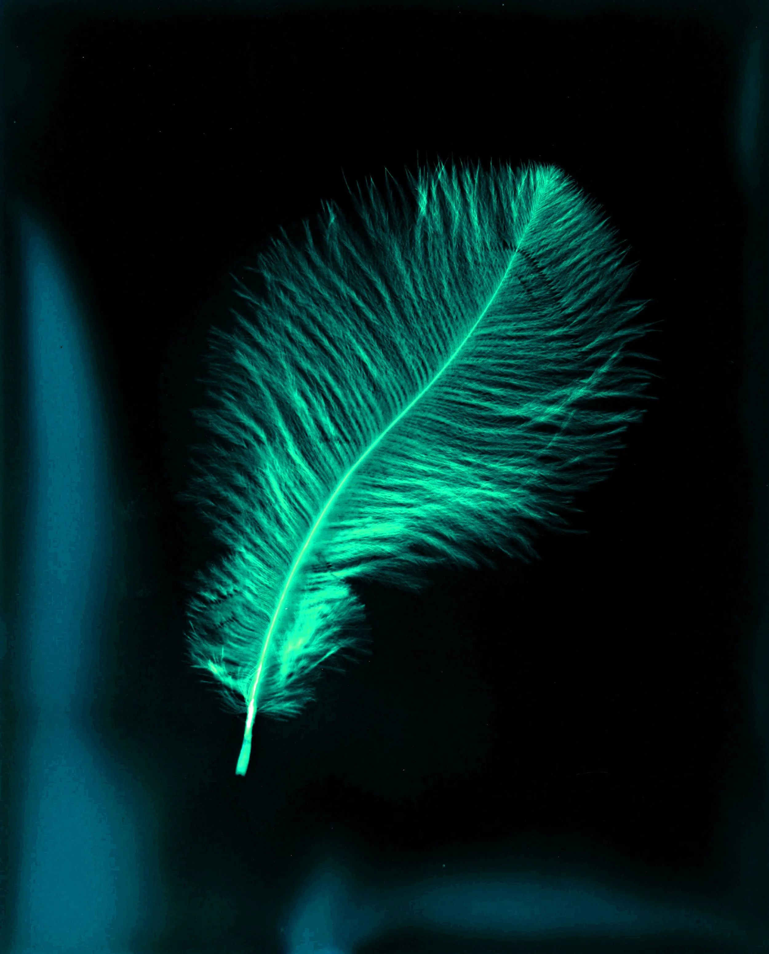 Scan 6-final edit.jpg