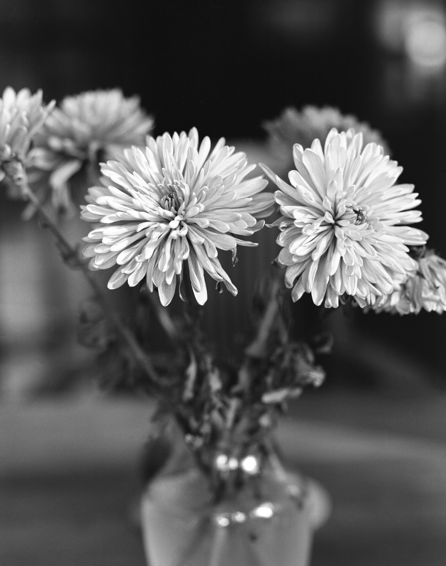 img018-EDITED.jpg