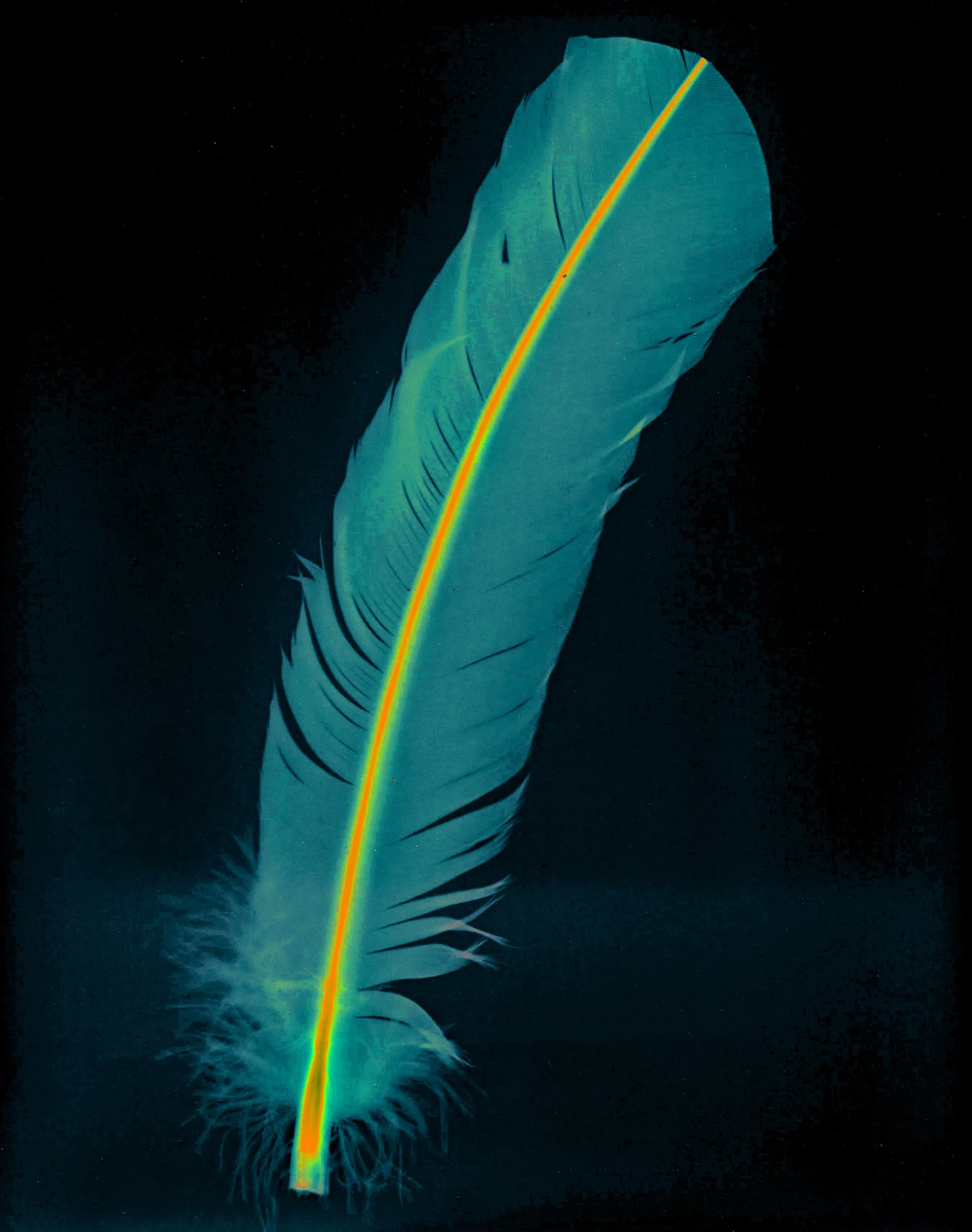 Scan 2-final edit.jpg