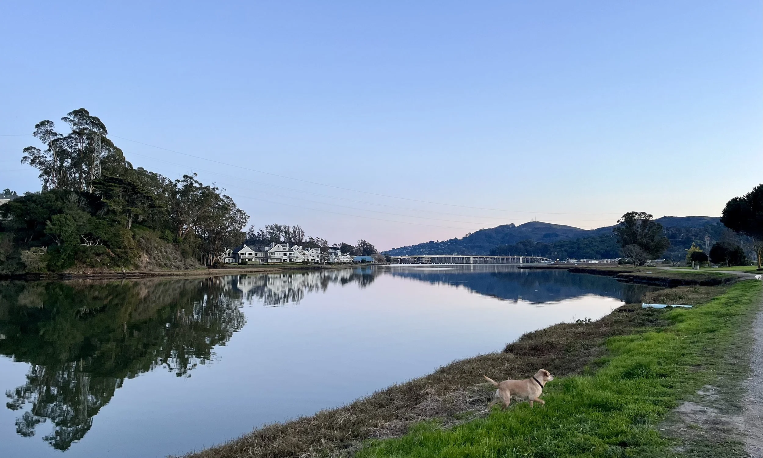 Issue #21 | February 2026