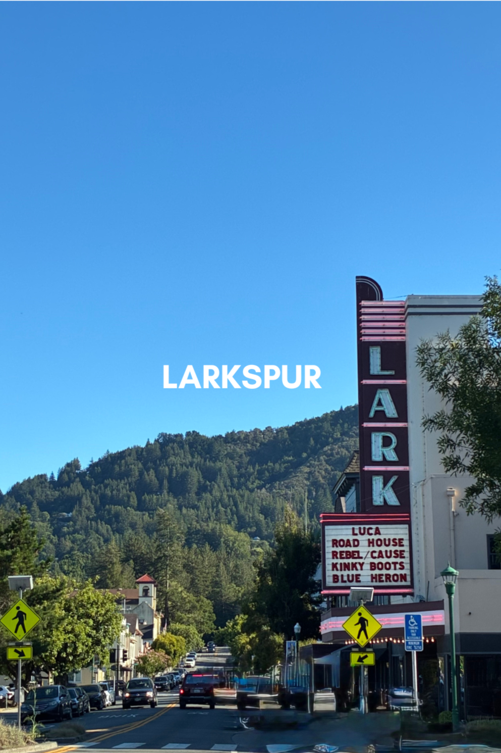 LARKSPUR | A sunny historic jewel tucked under the redwoods