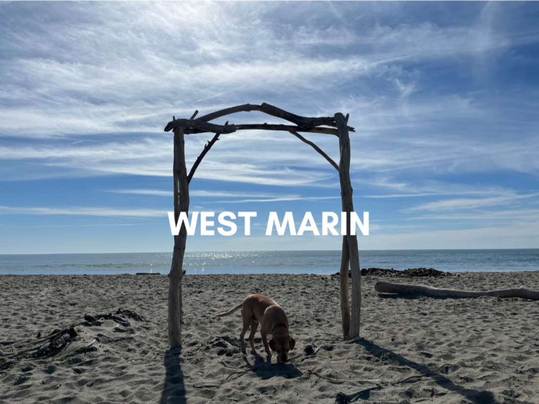 WEST MARIN: Commanding peninsula ridges, historic avenues, & bay views
