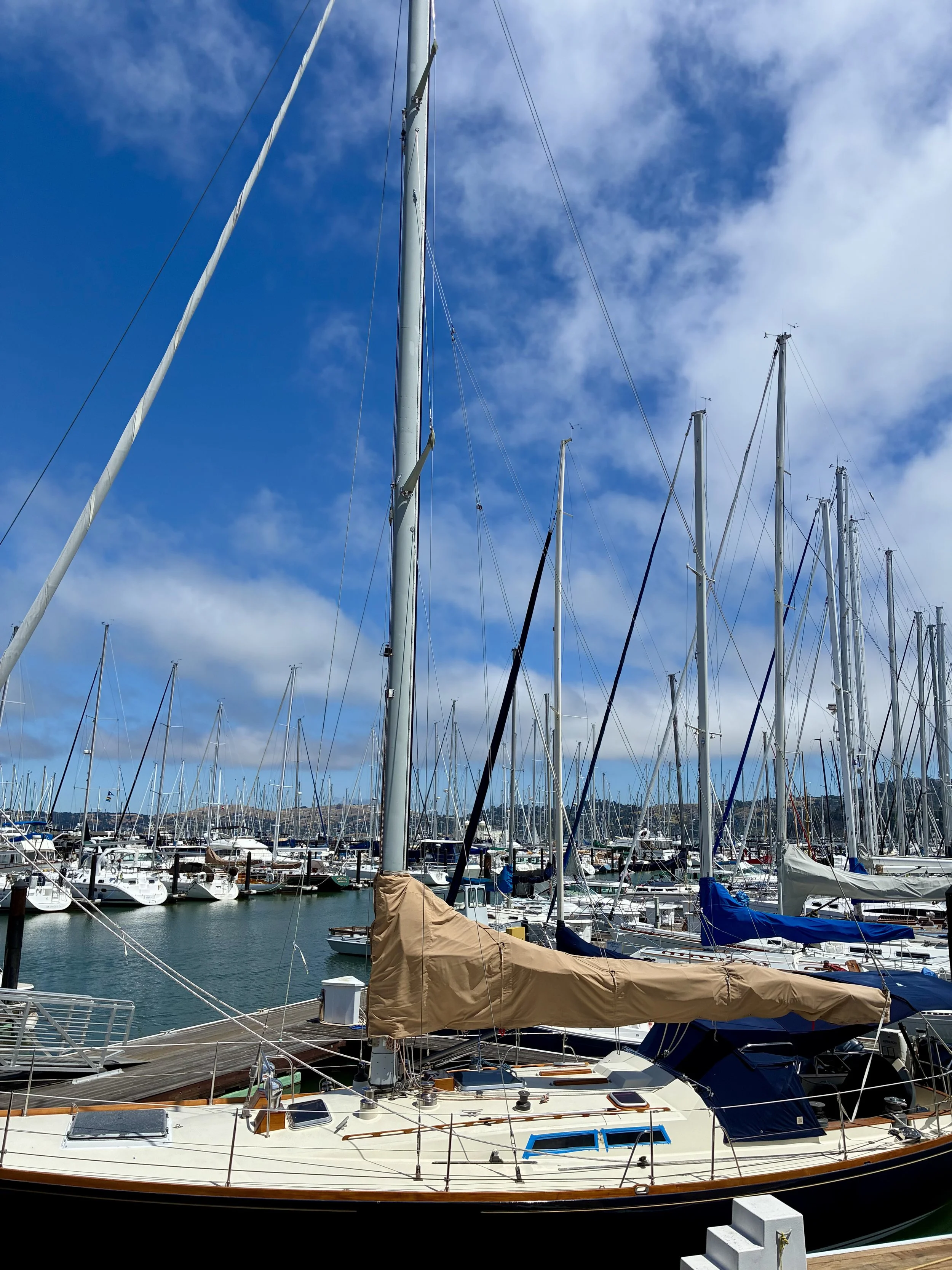 SAUSALITO | World-renowned bay vistas & historic boat harbors