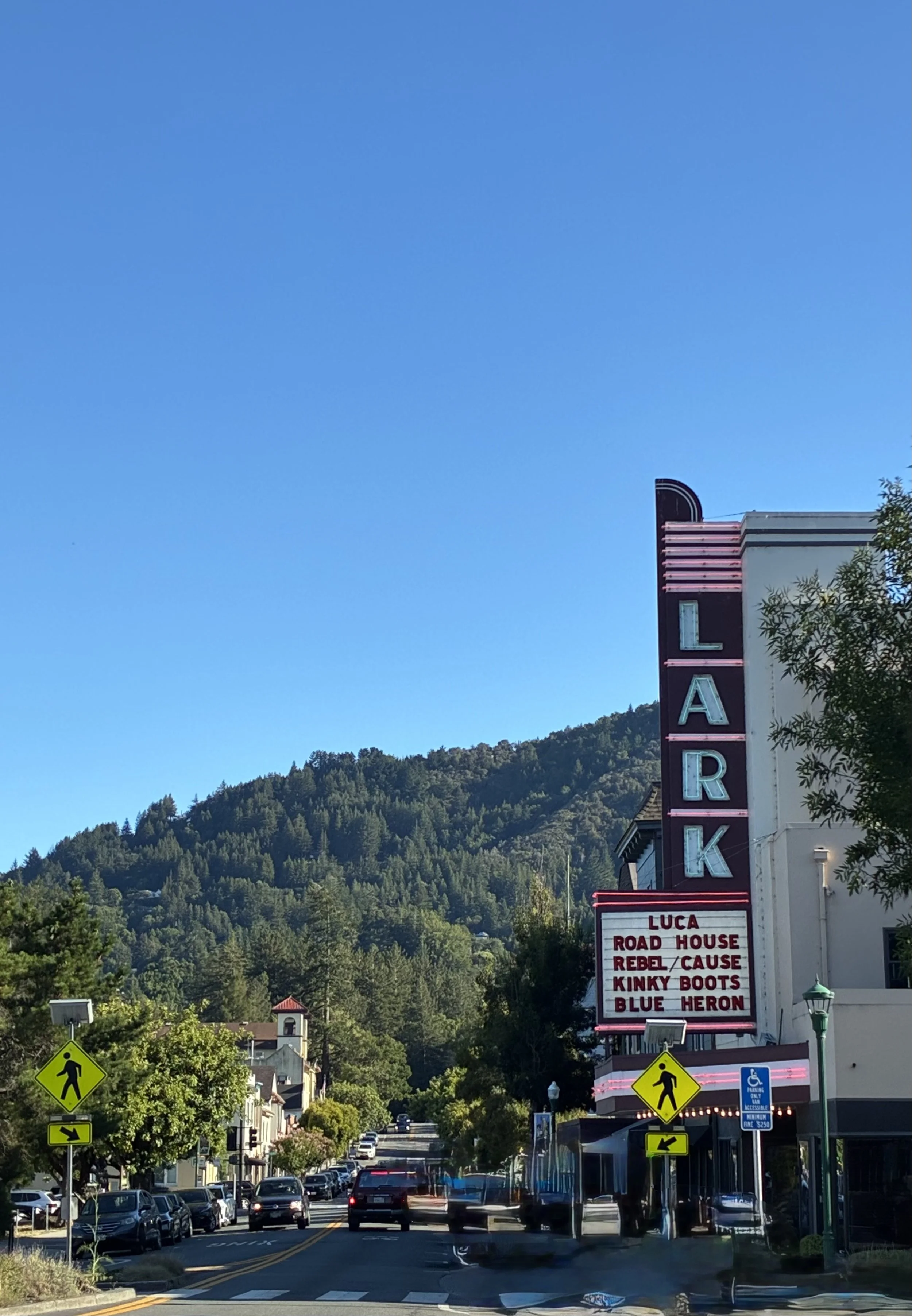 LARKSPUR | A sunny historic jewel nestled under redwoods