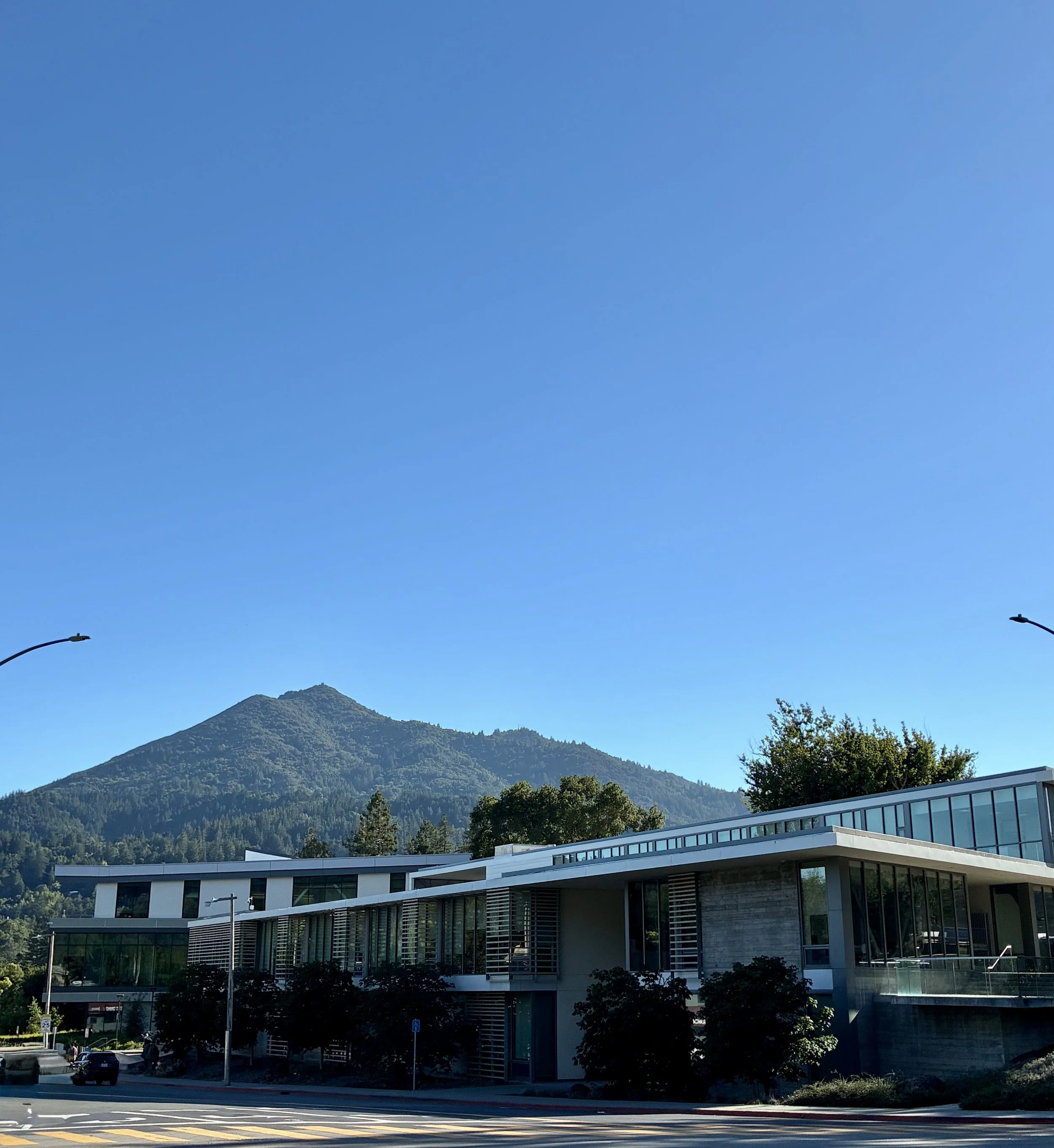 KENTFIELD | Stately flatlands, sunny peaks, & premier academics