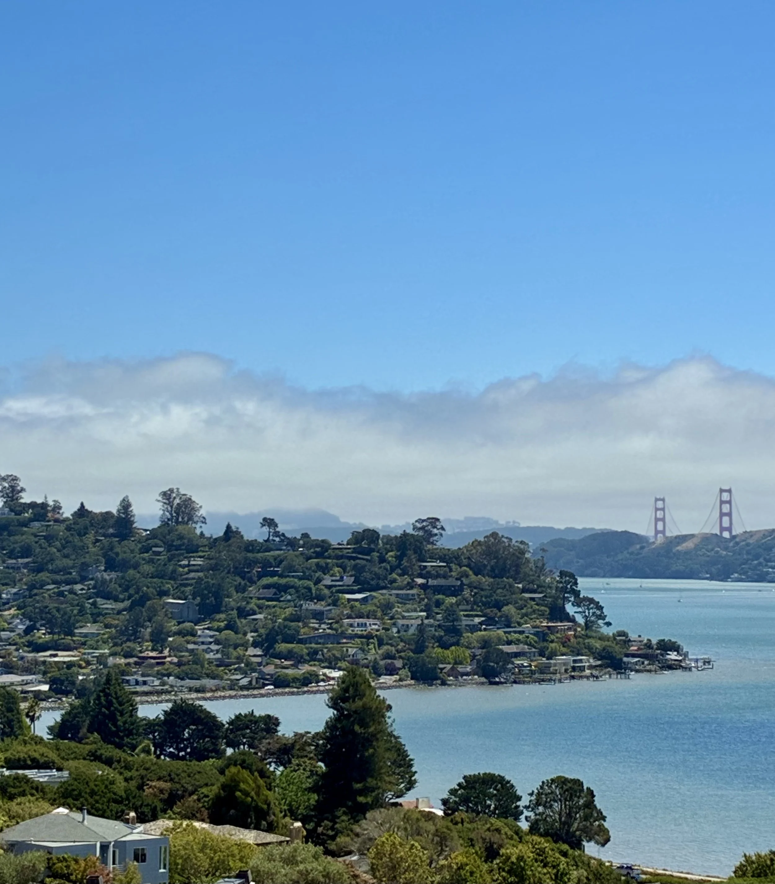 BELVEDERE | Merchant-free island-city of elite waterside estates