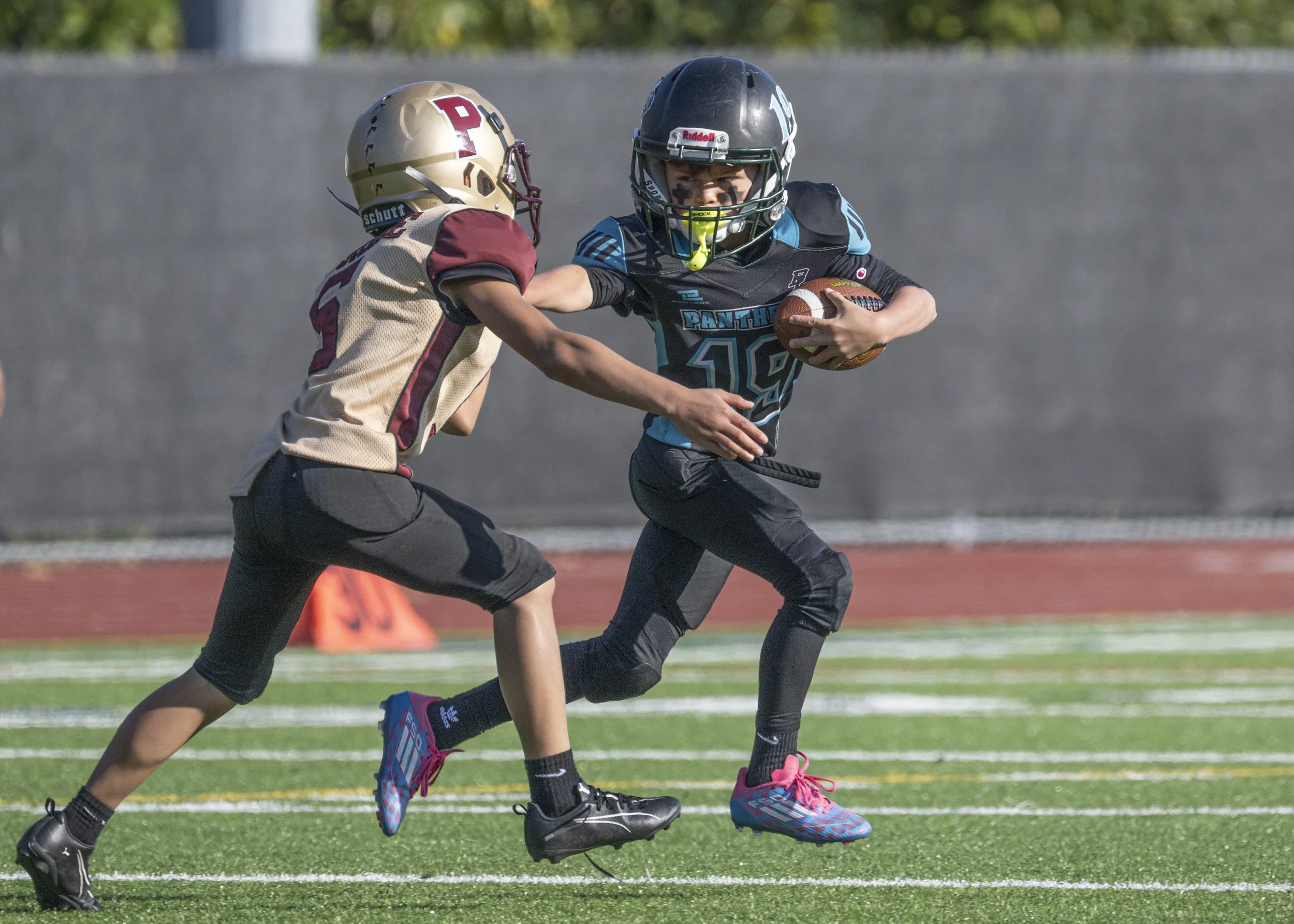 Bonney Lake Jr Panthers