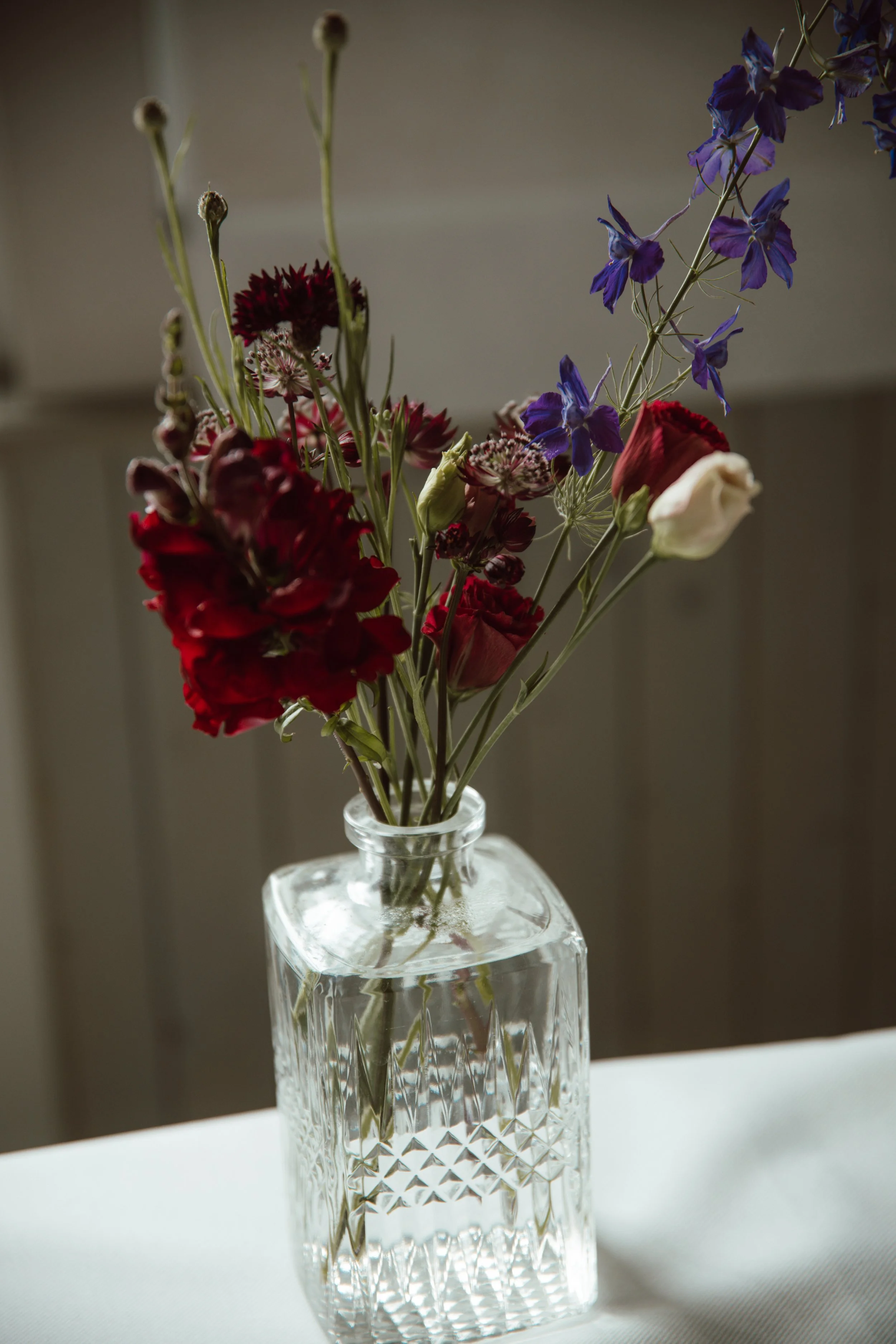 IMG_2200.jpeg