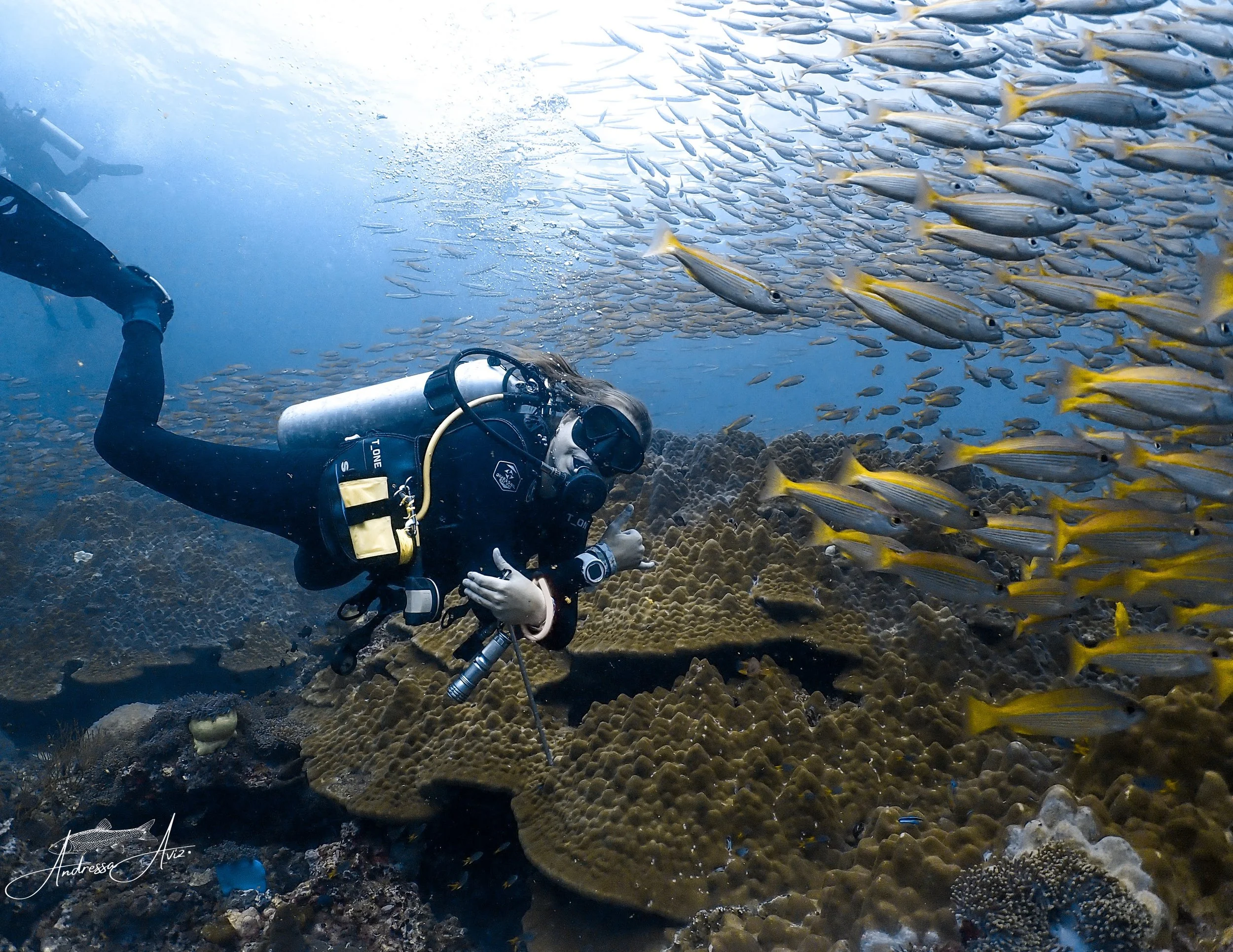 Advanced Open Water — Barakuda Phi Phi