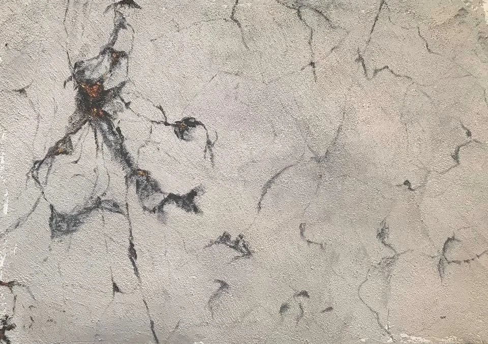 2020_%22Verrucaria%22_cm 50x35.JPG