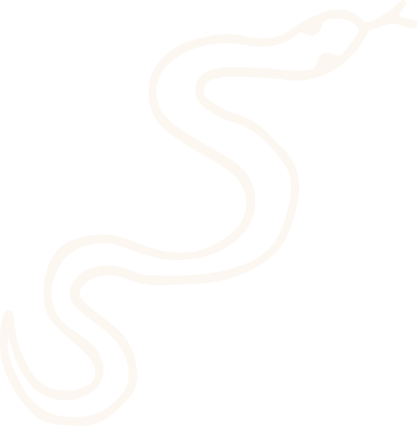 Line drawing of a snake on a dark background.