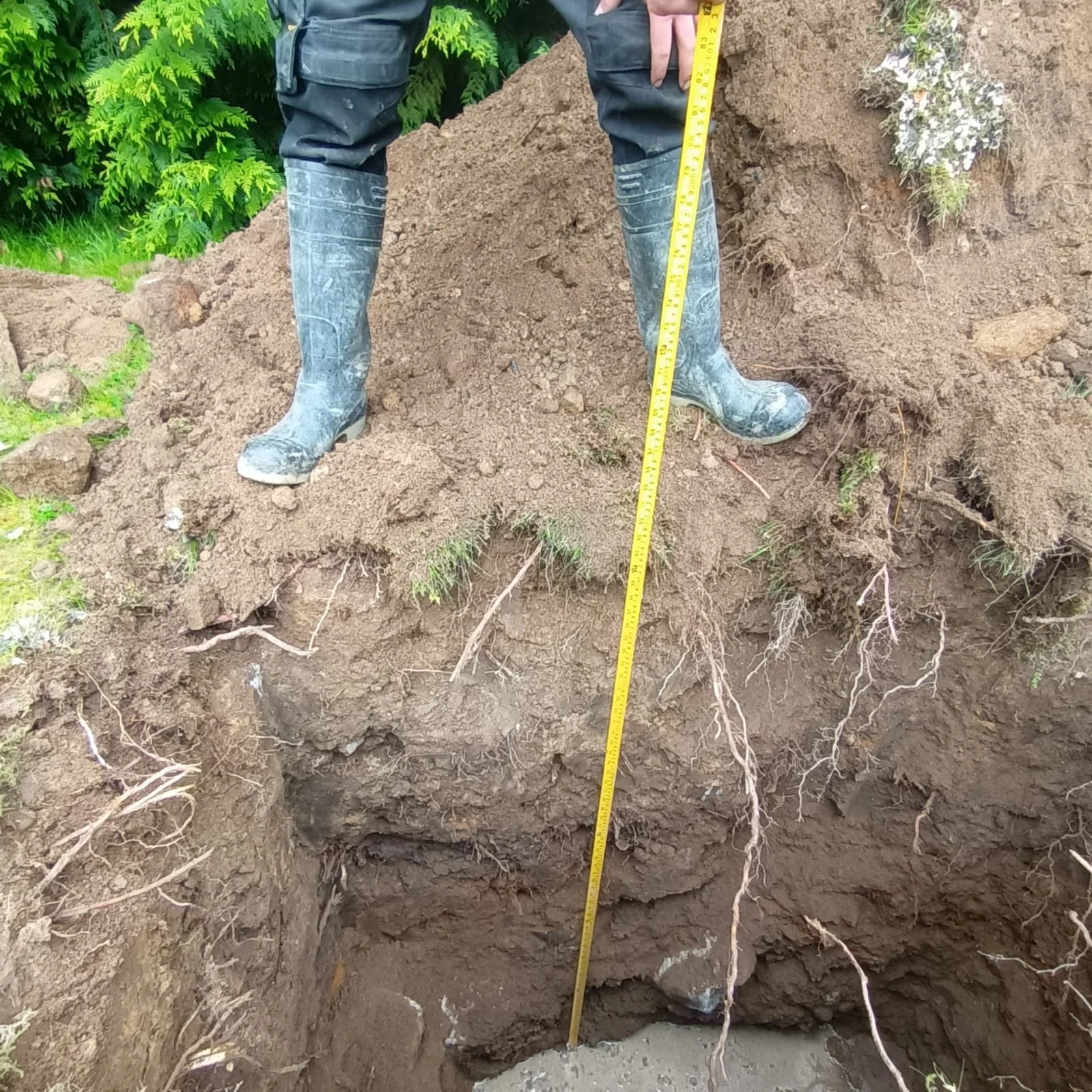 WhatsApp Image 2024-06-19 at 09.32.04 (1).jpeg