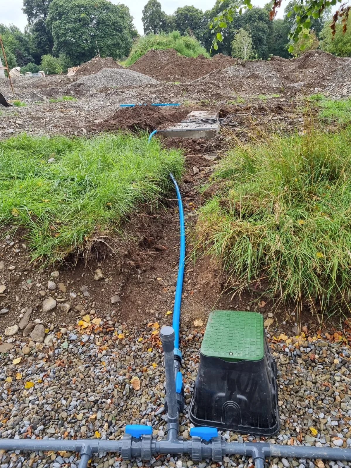 WhatsApp Image 2024-06-19 at 10.06.22.jpeg