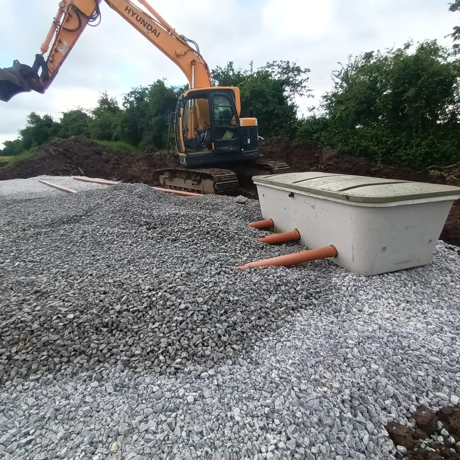 WhatsApp Image 2024-06-19 at 09.31.57.jpeg