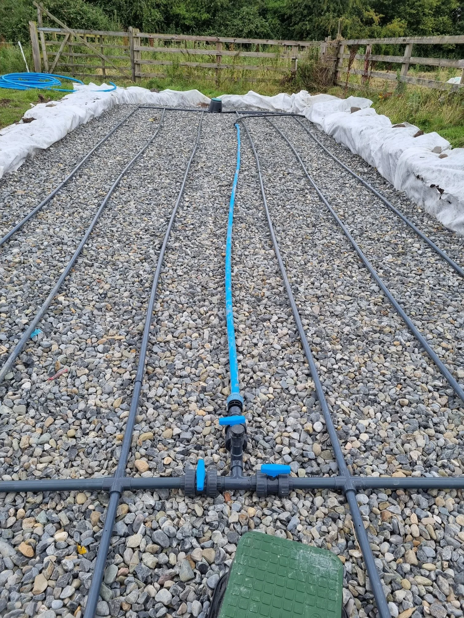 WhatsApp Image 2024-06-19 at 10.00.26.jpeg