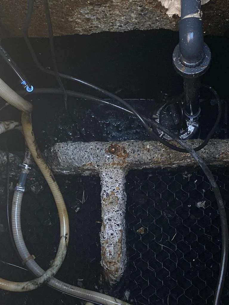 WhatsApp Image 2024-06-19 at 10.00.27 (3).jpeg