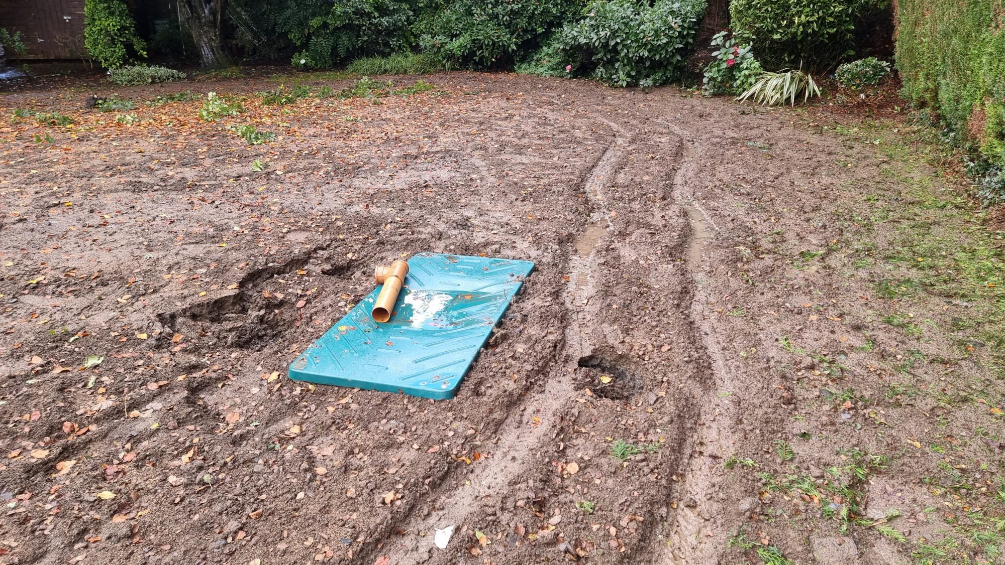 WhatsApp Image 2024-06-19 at 10.00.19.jpeg