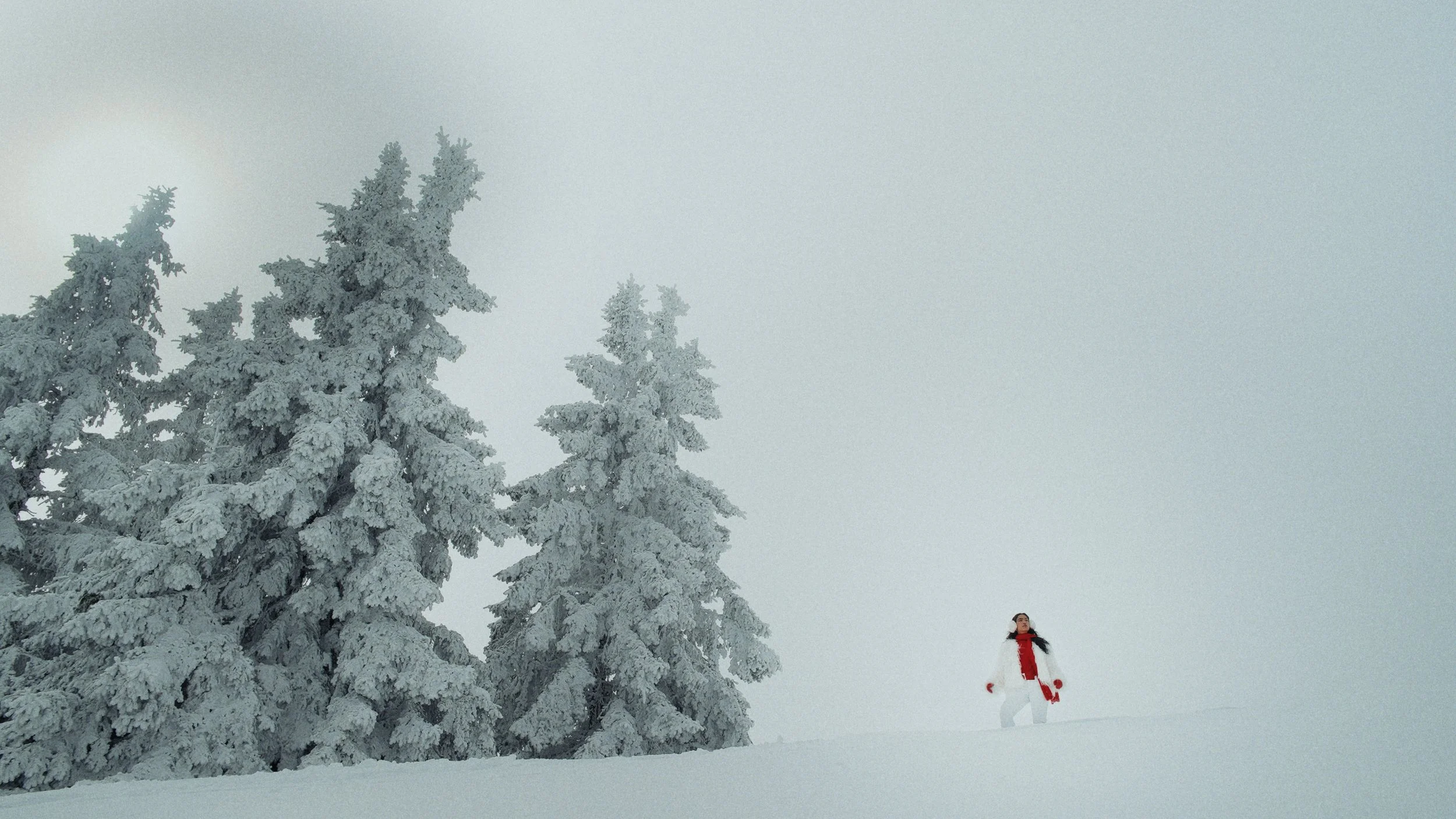 Still 2026-04-08 154910_1.4.2.jpg