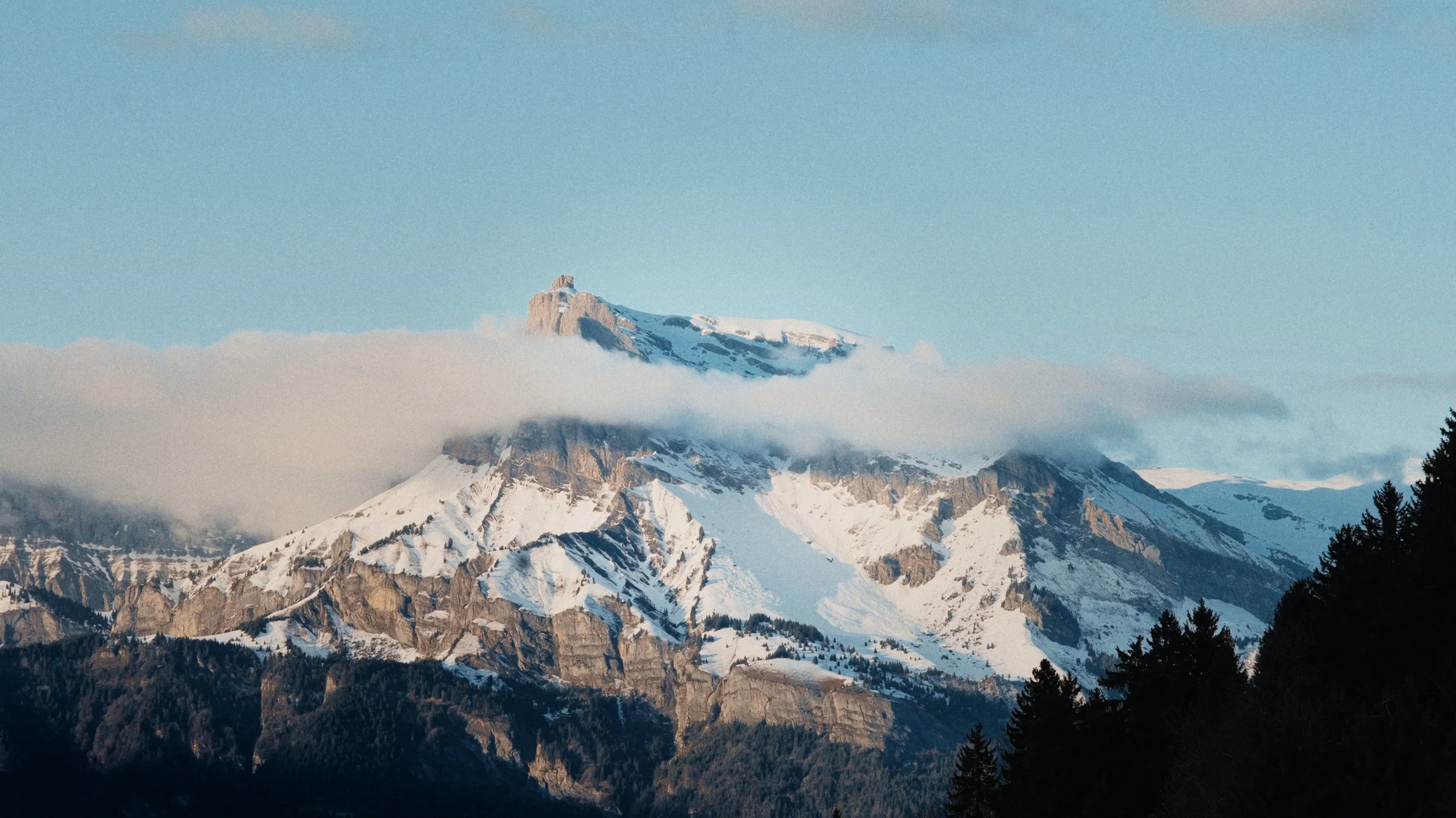 Still 2026-04-08 154910_1.1.1.jpg