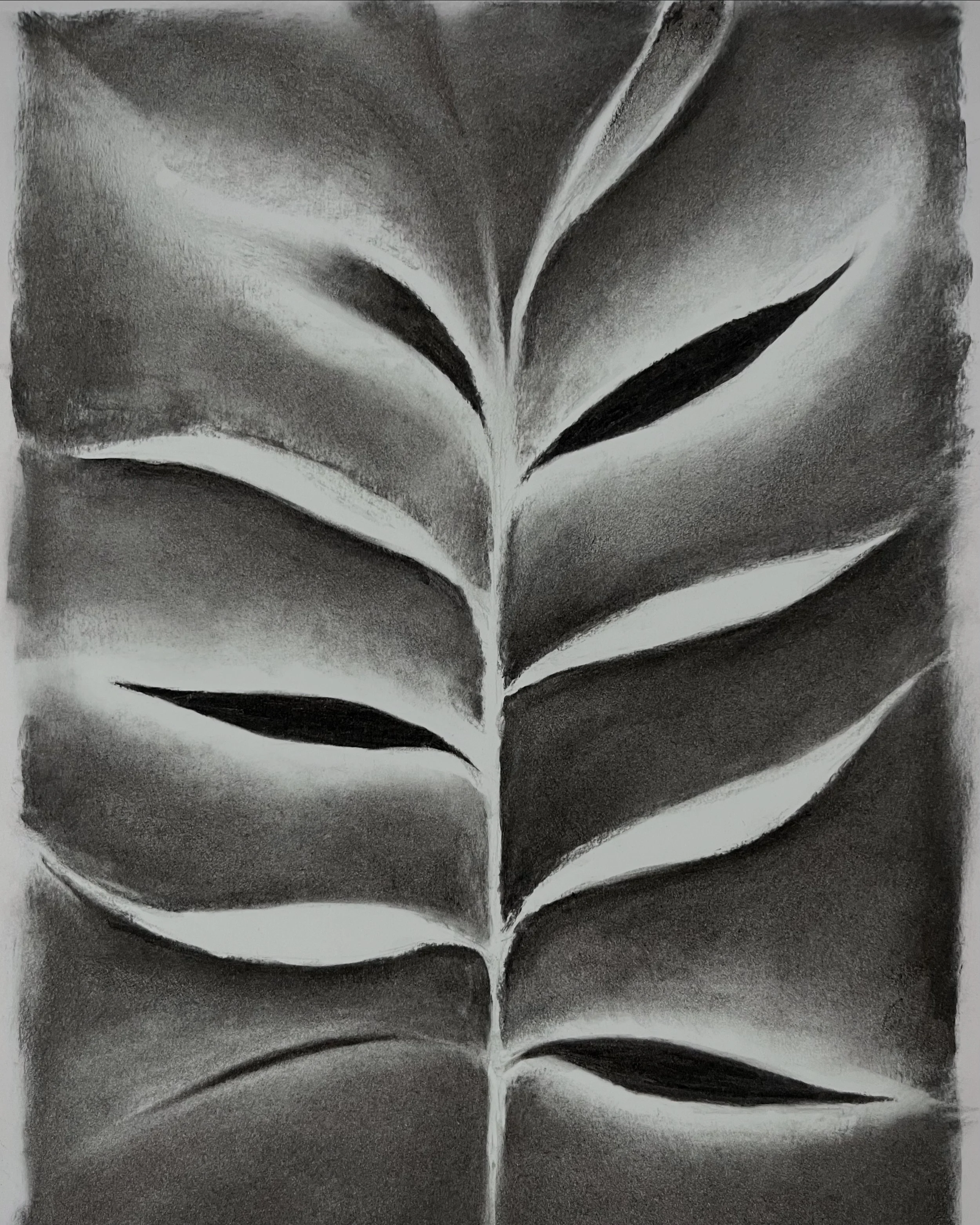 i n f o r m a t i o n