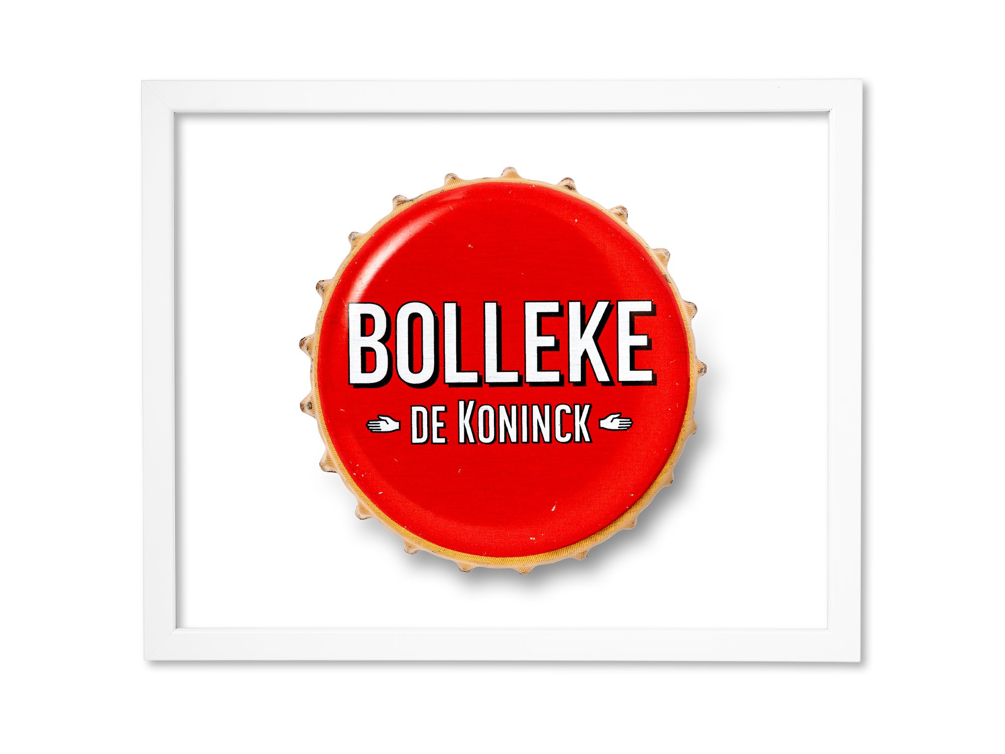 Bolleke