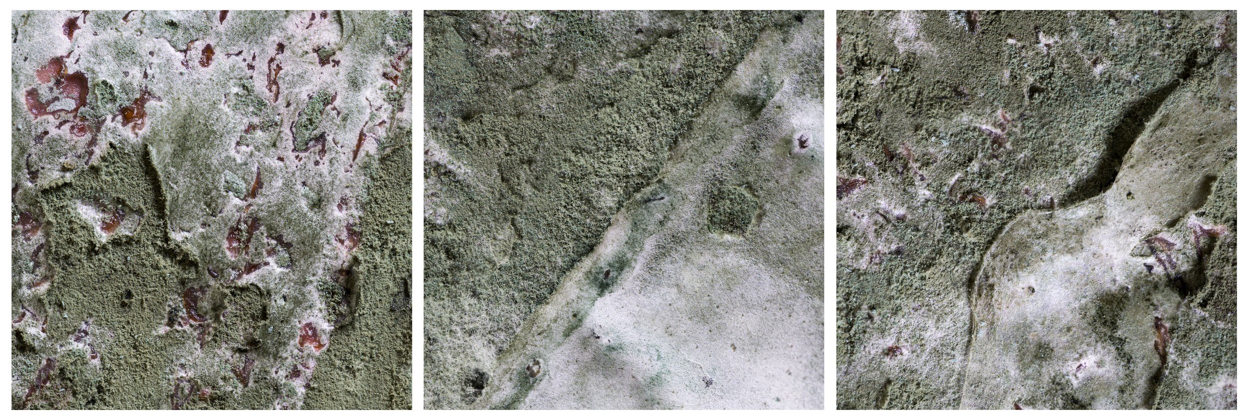 2026-03-19 13-01-18 (B,R8,S4) 2.jpg