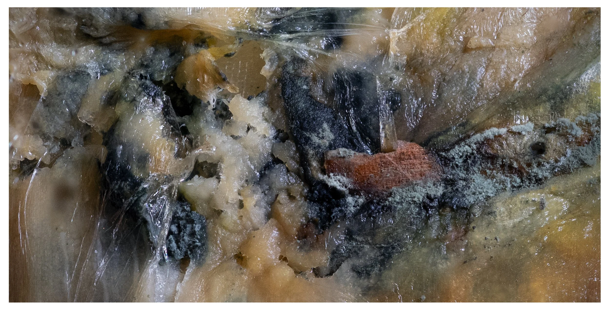 2026-01-09 13-18-05 (B,R8,S4).jpg