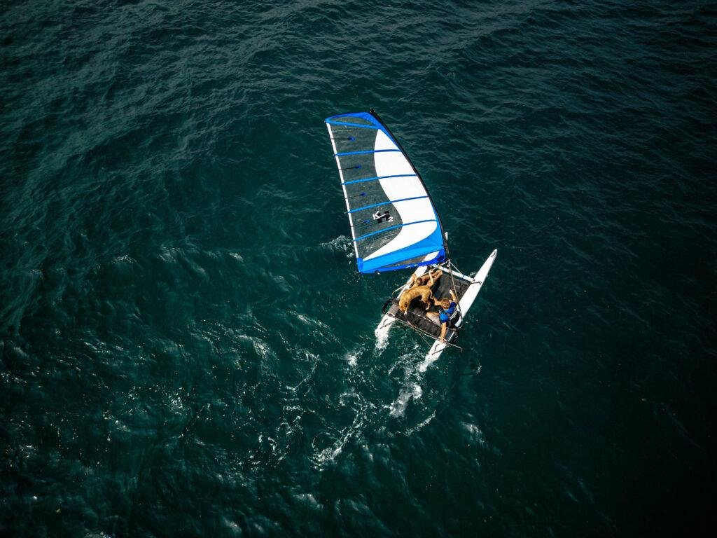Halcyon sailing.jpeg