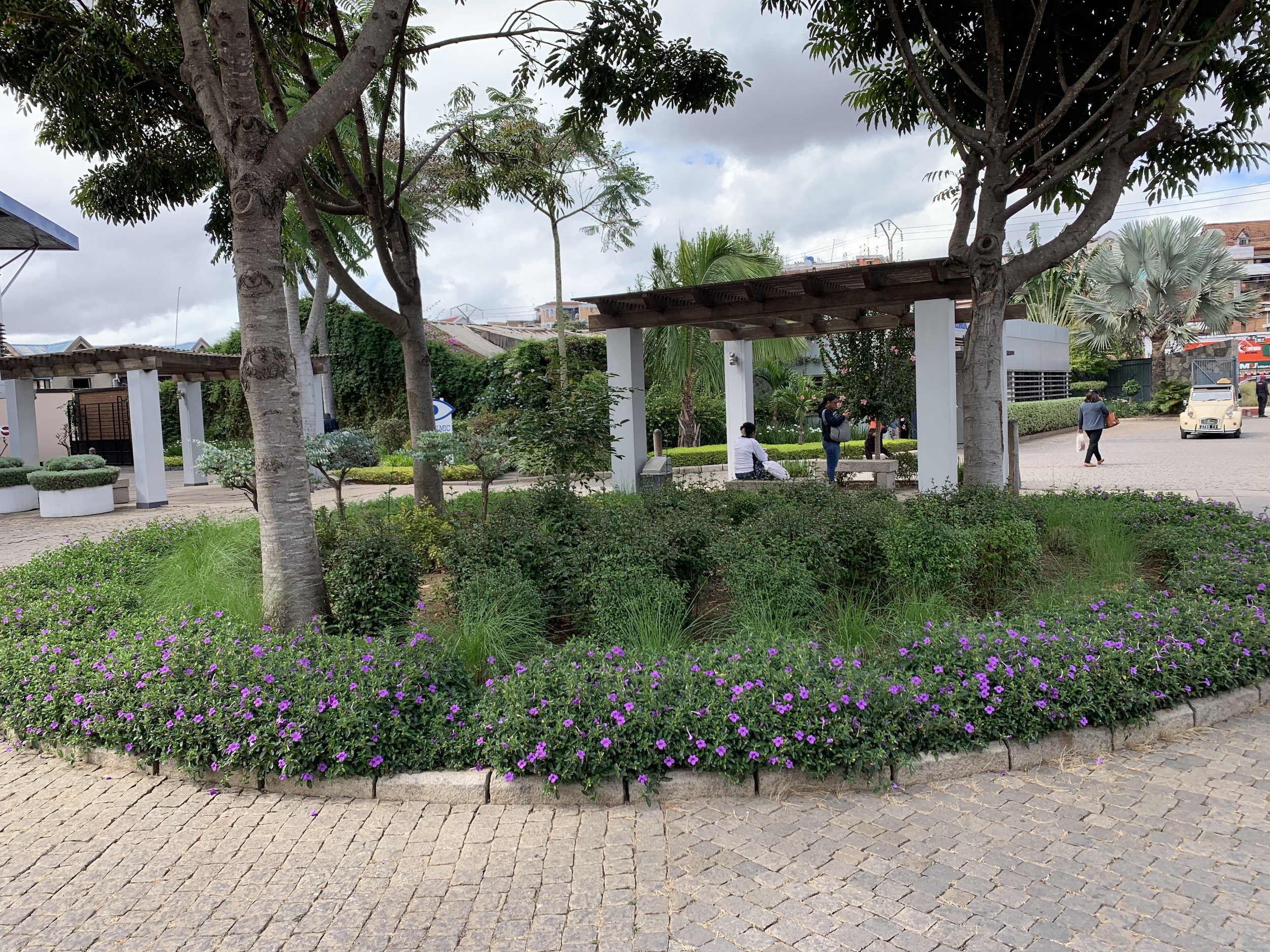 IMG_5093.jpeg