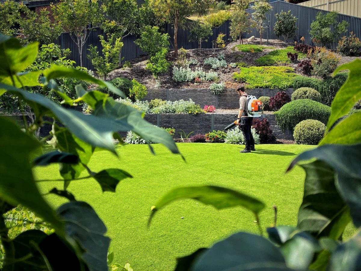 IMG_0771reseis best.JPG