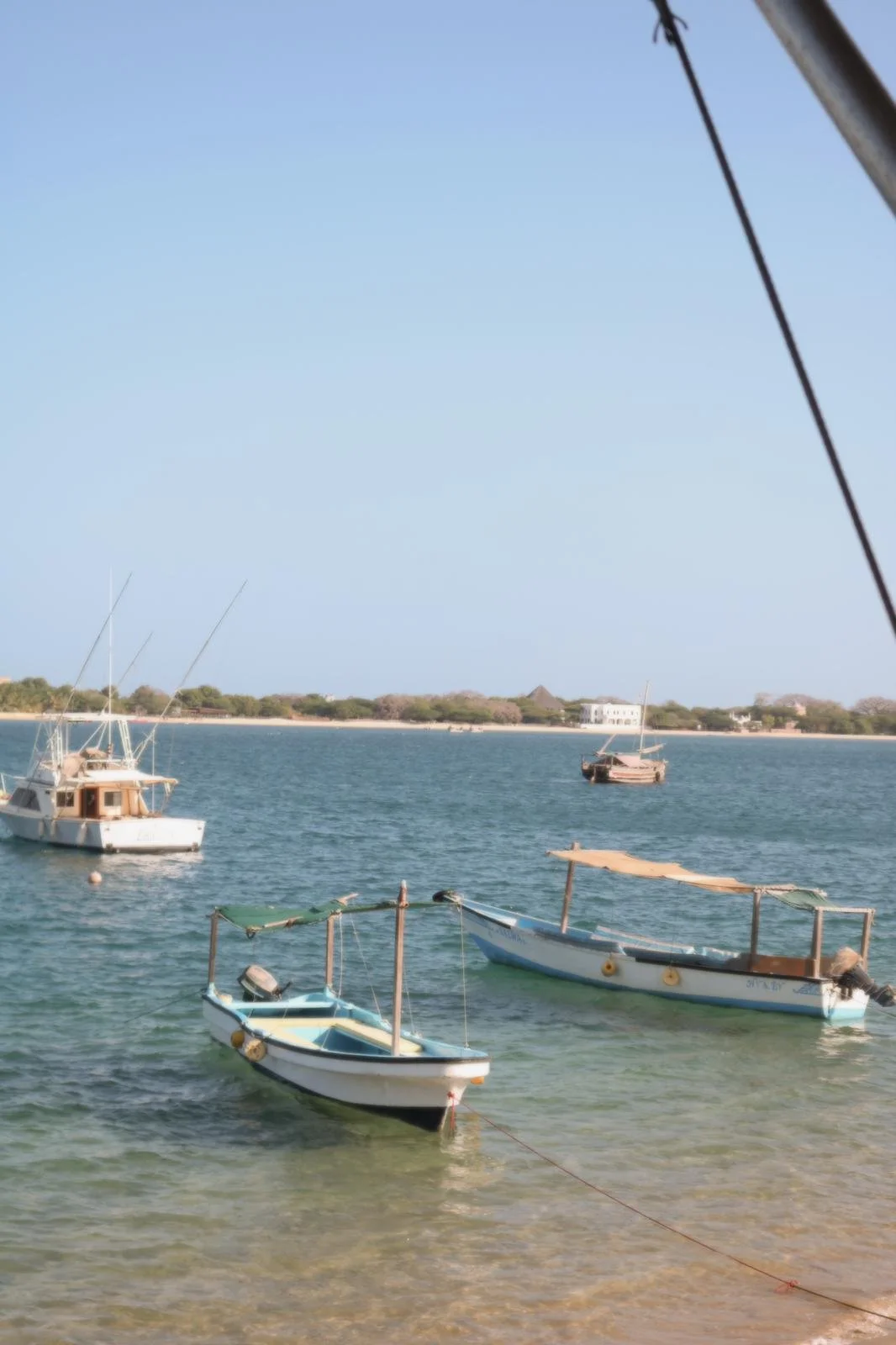 PHOTO-2024-12-03-15-09-45 2.jpg