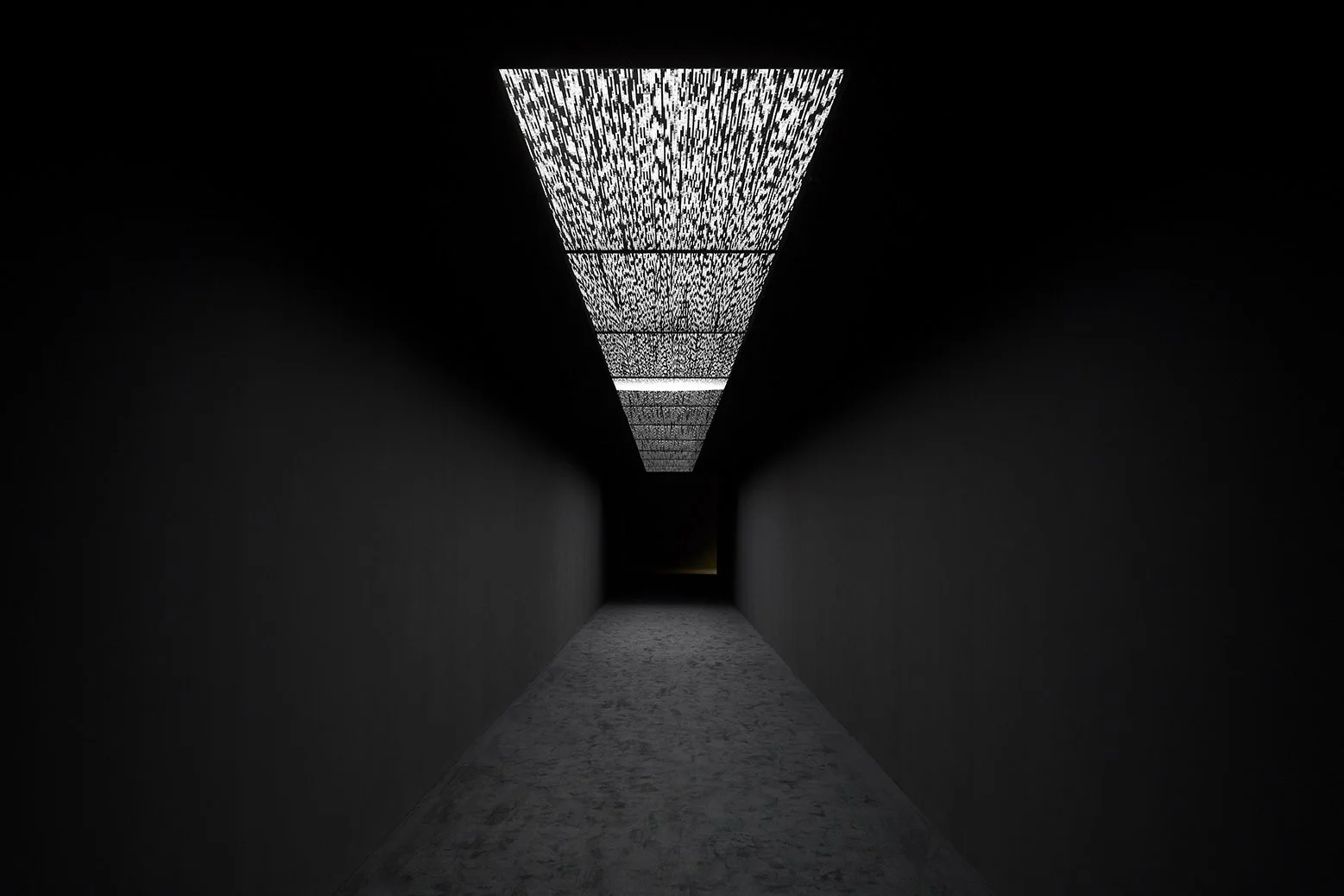 Ryoji Ikeda_180 Strand_8.jpg