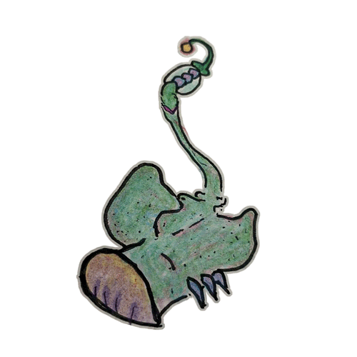 #016 -rangelflap