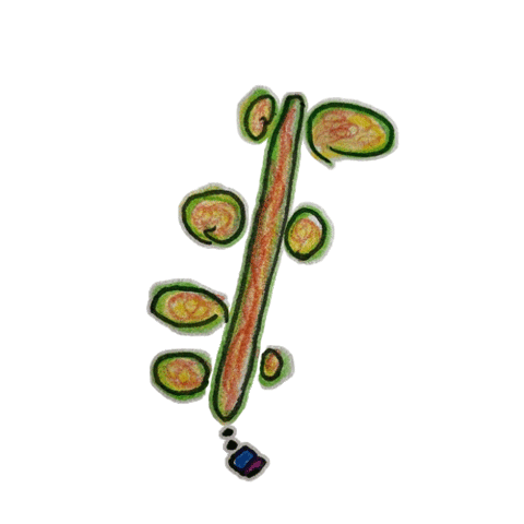 #023 - stirkel