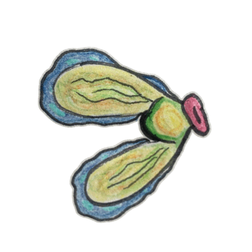 #038 - flherd
