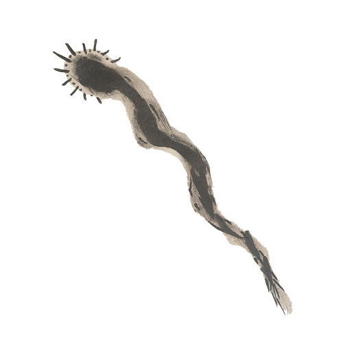 #162 - redcrare
