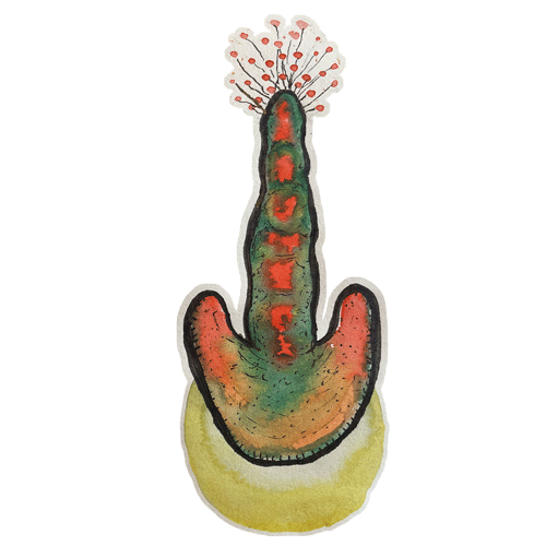 #240 - tebifa