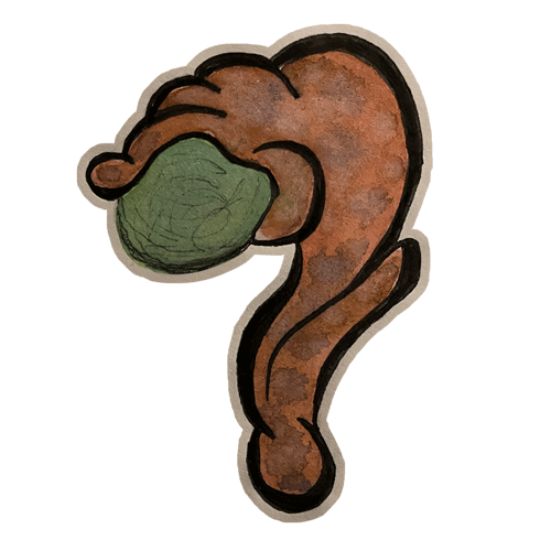 #243 - kaaså