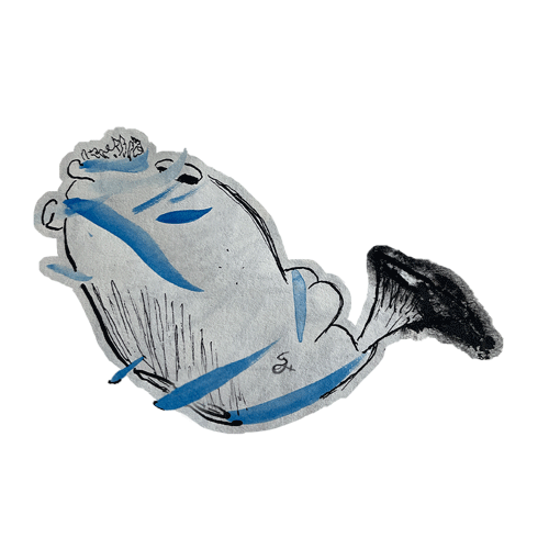 #262 - ombø